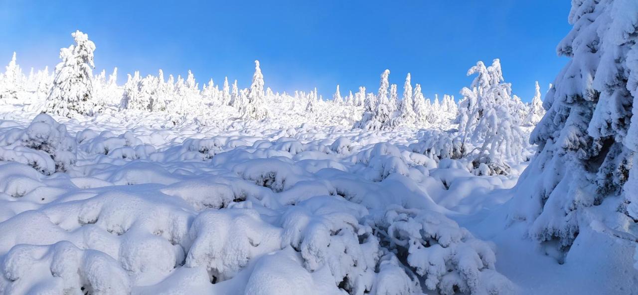 Panorama Z Widokiem Na Gory * Szklarska Poreba
